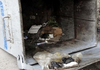 İnsanlık dışı olay !