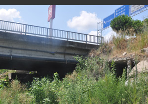 Trabzon'da hastane tehlikede