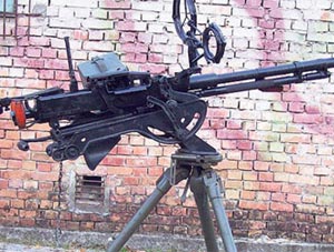 Toprağa gömülü doçka bulundu