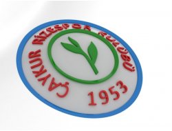 Çetin Güngör Rizespor'da