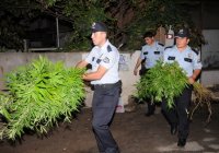 Koku için gittiler bakın ne buldular