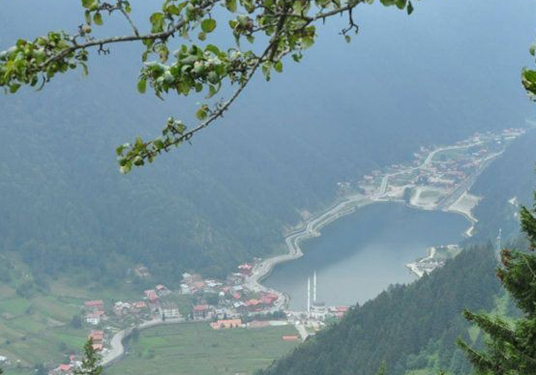 Uzungöl'e teleferik projesi