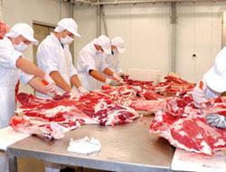 Et rezaleti büyüyor