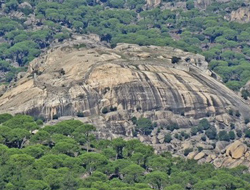 Rize'de kaybolan turistler bulundu