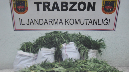 Trabzon'da imamın esrarcı çocukları