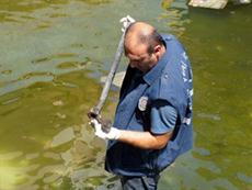 Arkadaşını baltayla öldürdü