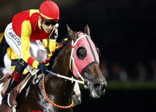 At yarışçılığının Messi’si