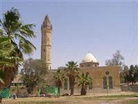 'Camide' içki festivali