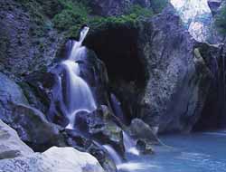 Valla Kanyonu'nda korku