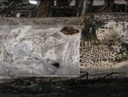 Aracın sahibi Konuştu