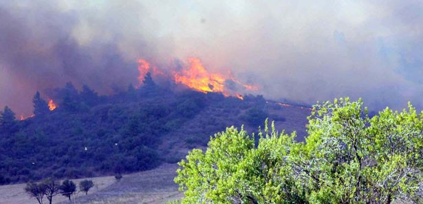 Denizli'de orman yangını
