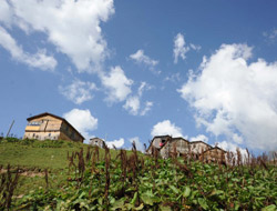 Biyo kaçakçılığa dikkat