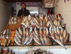 Balıkçıların 24 metre isyanı