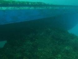 Asıl dehşet sualtında yaşandı