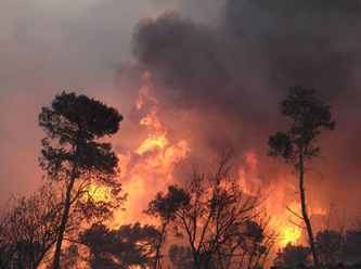 Türkiye - Suriye sınırında yangın!