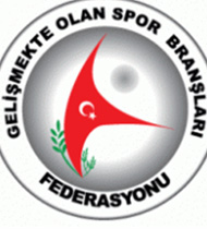 Federasyon kurulmadan başkan atandı