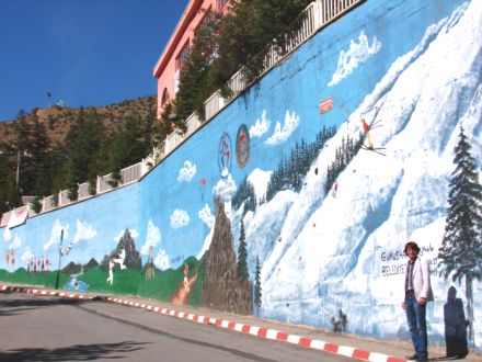 Gümüşhane'yi açık hava sergisi yaptı!