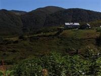 Davos'a alternatif 'Karos'