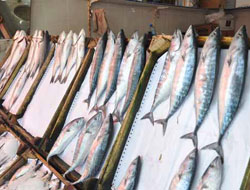 Tezgahlarda bolluk var !