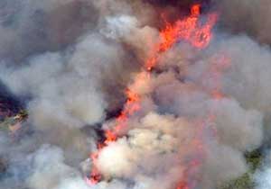 Trabzon Of'ta orman yangını