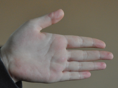 Sahte sigortalılar şimdi yandı!