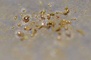 Bu bakteri altın üretiyor