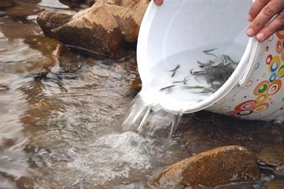 Trabzon bunlara sahip çık