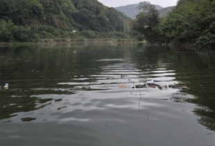 Sera Gölünün gerçek sahibi kim?