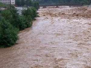 Trabzon ve Rize'de dereler taştı