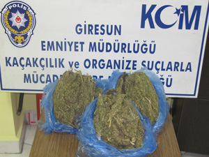 Uyuşturucu ile mücadele sürüyor