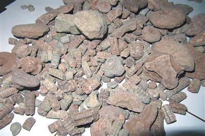 Gümüşhane'de film gibi operasyon