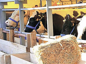 Bu hatayı sakın yapmayın!