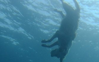 Bu nasıl vicdan bu nasıl insanlık