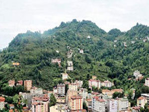 Dağı kestiler, hastalıktan kurtuldular!