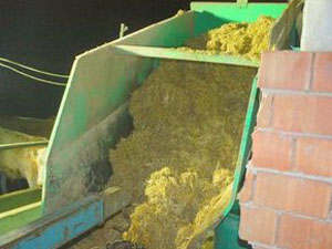 4 yaşındaki çocuğun feci ölümü