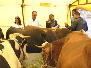 Belediyelerin zabıta birimleri denetleyecek