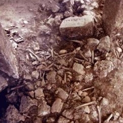 Döverek öldürdüğü adamın cesedini yaktı