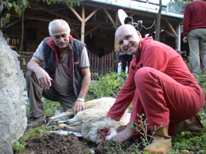 Kanadalı turist Artvin'de kurban kesti
