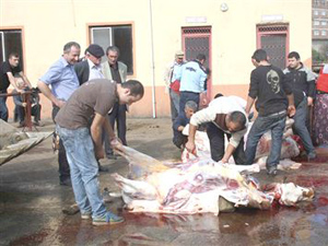 Vakfıkebirliler Rahat Kurban Kesti