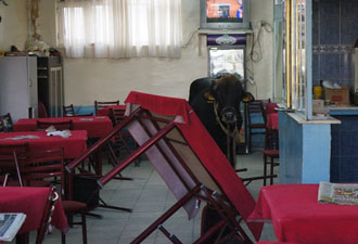 Kahvehanedekiler kendilerini dışarı zor attı