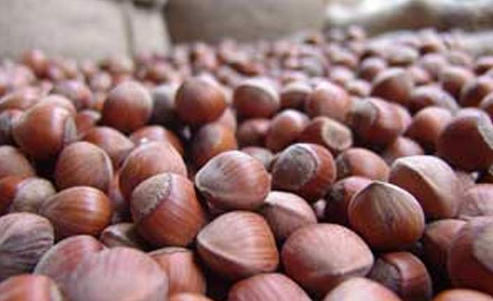 TMO'nun büyük  tutarsızlığı