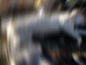 İnsanlık dışı olay!