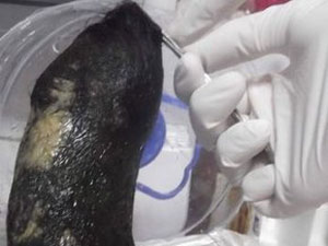 Midesi kuaför salonu gibi!