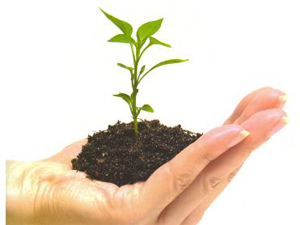 Trabzon'da Ağaçlandırma devam ediyor