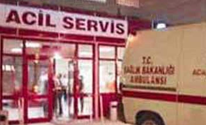 Piknik yaparken kurşun yedi