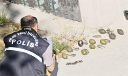 Bomba gibi aşk intikamı