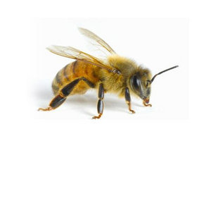 Filmlerde olsa inanmayız!