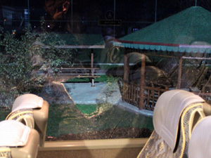 Trabzon maçından sonra Orduspor' a saldırı