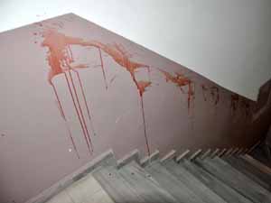 Kan donduran vahşet !