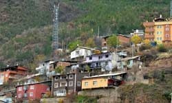 Bu şehirde sadece tek bir emlakçı var